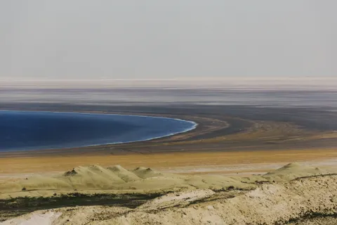 Арал теңізінің құрғаған түбінде жайылымдық жерлер пайда болады