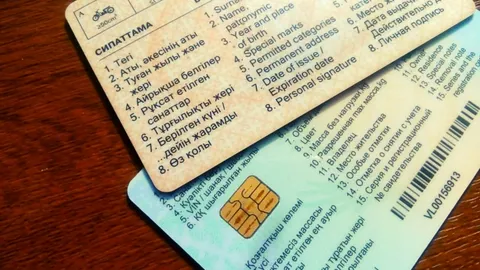 Серийный мошенник «помогал» с получением прав в Туркестанской области