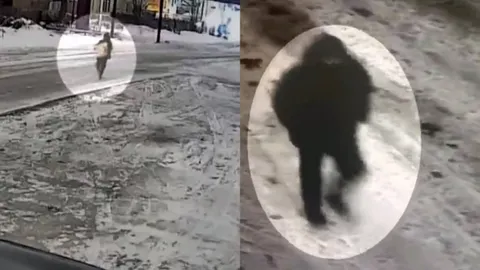 Кражу сейфа с крупной суммой раскрыла полиция в Караганде