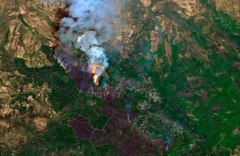 Казахстану начали предоставлять спутниковые снимки в случаях ЧС