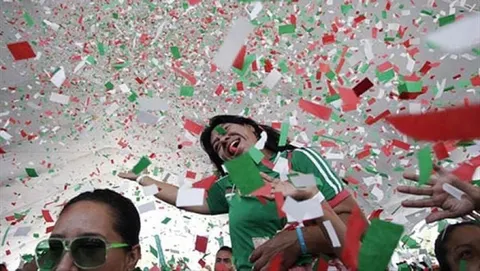 Фанаты могли привезти на чемпионат мира до 350 видов паразитов