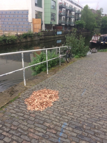 Британец высыпал на мост 15 тысяч монет и показал реакцию прохожих