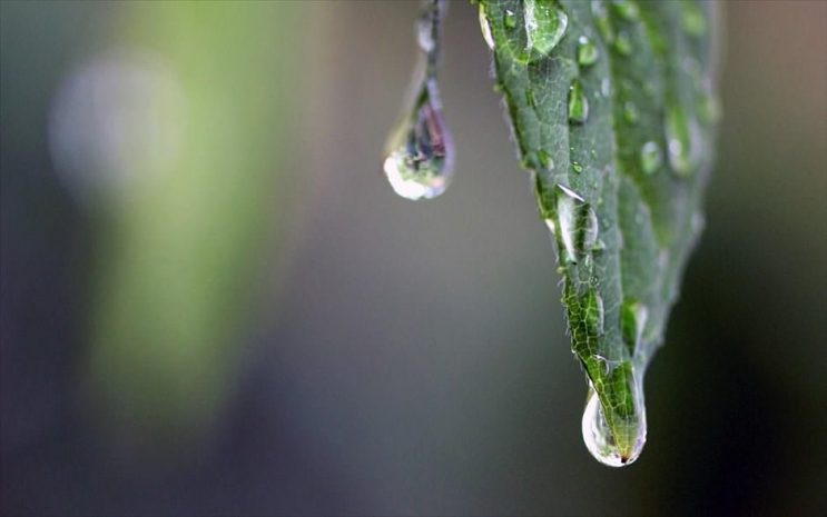 В РК на выходных жара сменится прохладой