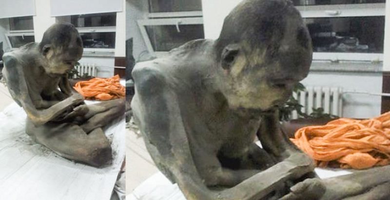 В Монголии найдено нетленное тело буддийского монаха