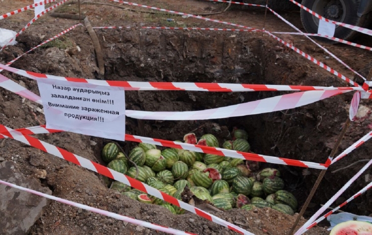 Тонну зараженных арбузов уничтожили в Нур-Султане