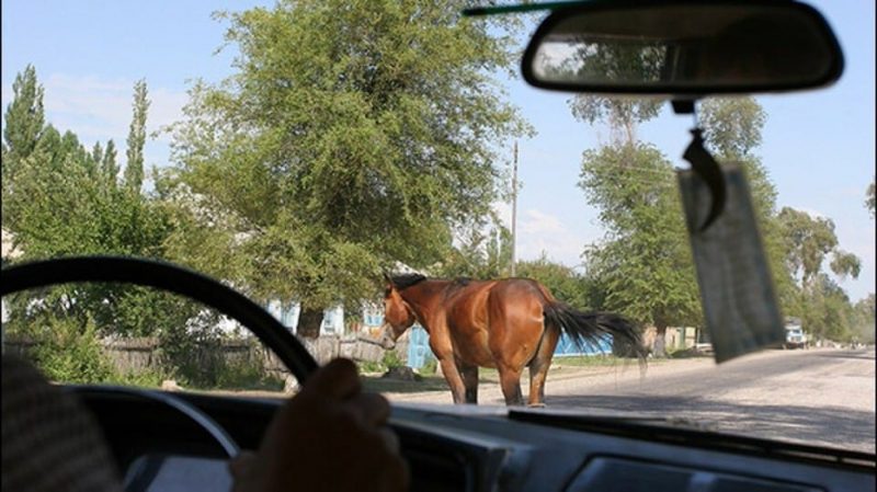В ЮКО обезврежена преступная группа