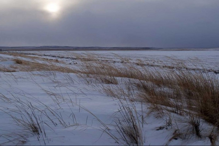 Труп пропавшего без вести найден в Карагандинской области