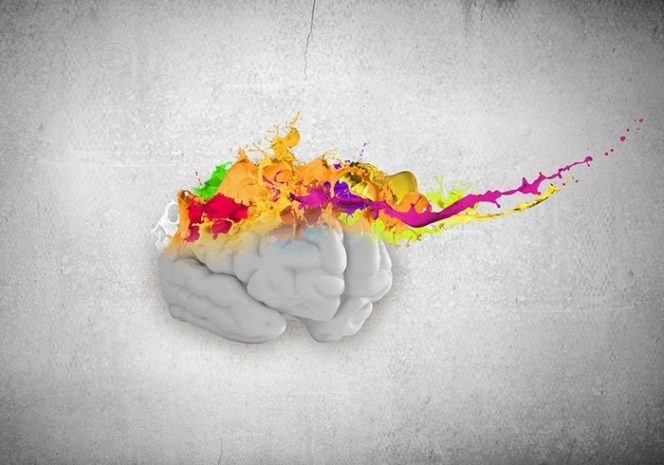 Мозг пятилетнего ребенка оказался пожирателем энергии