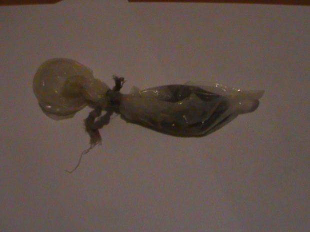 На границе задержан контрабандист с наркотиками в презервативе