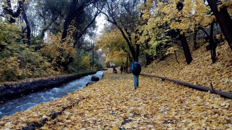 В Казахстане 28 сентября прогнозируют погоду без осадков