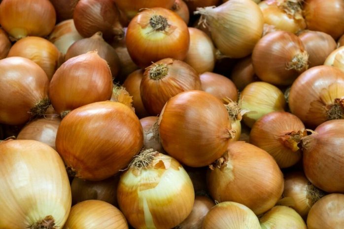Запрет на экспорт лука пока не будет отменен в Казахстане