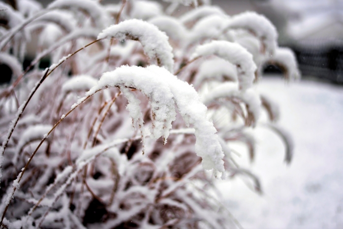 Неустойчивая погода ожидается в Казахстане