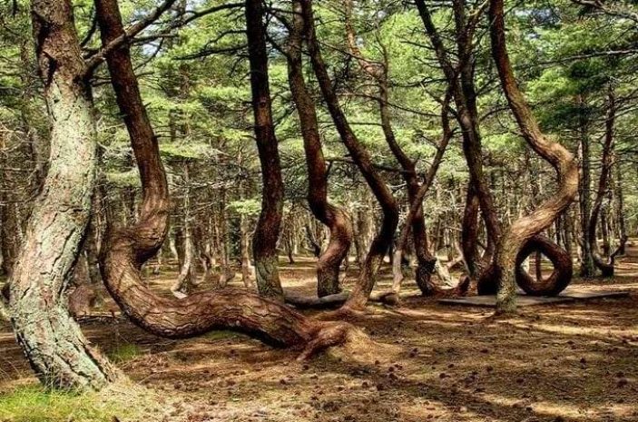 Недалеко от Астаны нашли аномальную зону