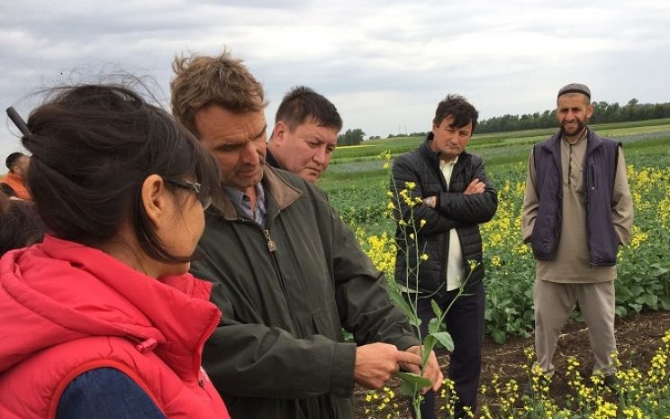 Канадские фермеры научат казахстанцев выращивать рапс