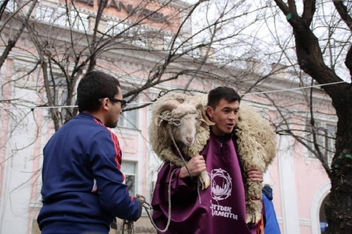 В Алматы установили новый рекорд по по поднятию кошкаров – 230 раз