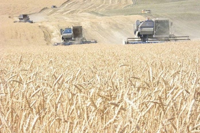 Рост производства сельхозпродукции отмечается в странах ЕАЭС