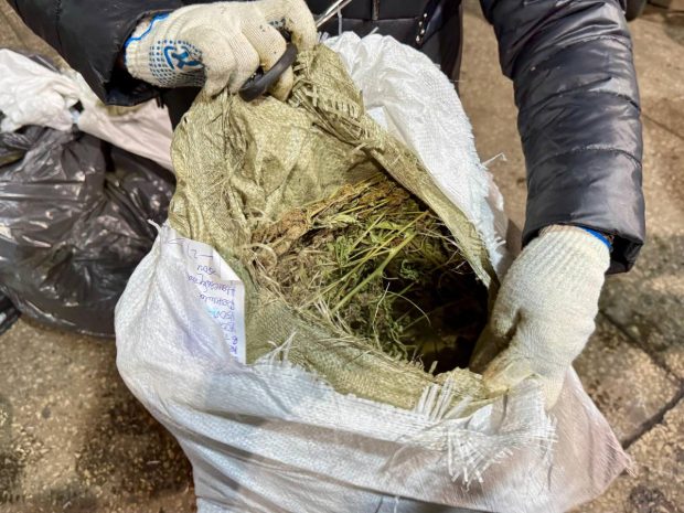 Павлодарда ірі есірткі партиясы жойылды