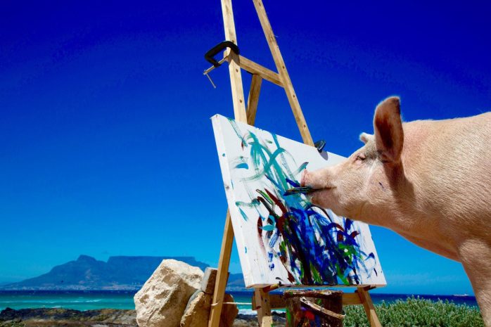 Заработавшая миллион долларов свинья Пигкассо умерла в ЮАР