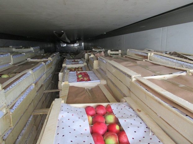 Из России в Казахстан вернули более 238,3 тонны фруктов и овощей
