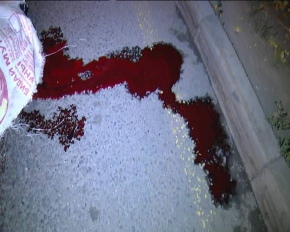 ДТП в Алматы: пешеход сбит насмерть