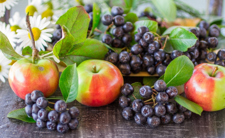 Эксперт опроверг факт лечения коронавируса соком рябины