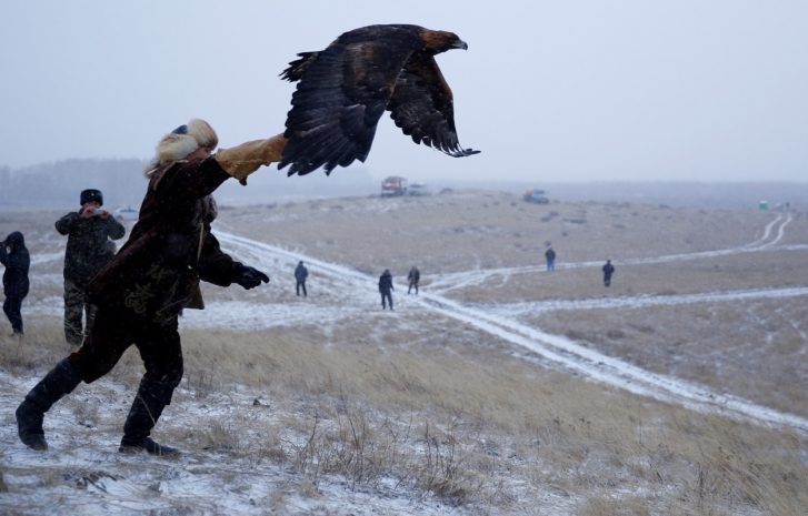 Турнир по охоте с ловчими птицами прошел в Алматы