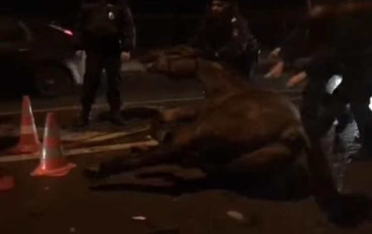 В Москве водитель сбил полицейского на лошади