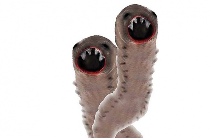 На рынках Алматы нашли фрукты, зараженные глистами