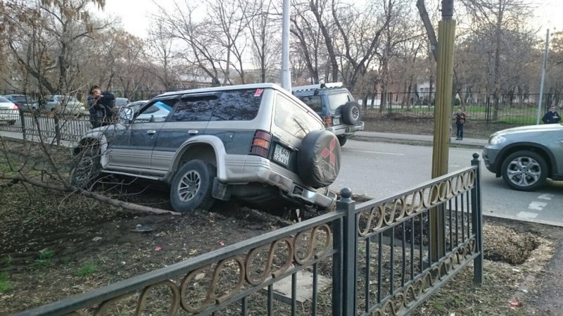 В Алматы при аварии двух Pajero пострадало дерево