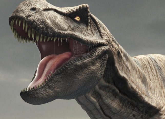 Скелет тираннозавра продается на eBay