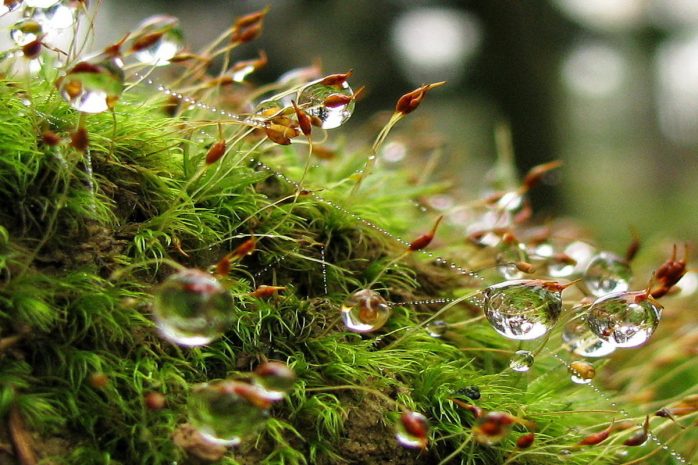 Дожди пройдут на большей части территории Казахстана