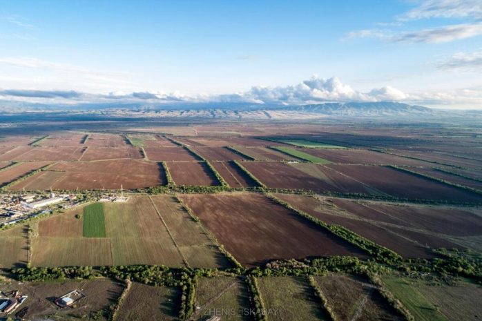 Павлодар облысында ауыл шаруашылығы мақсатындағы жерлер халыққа қайтарылды