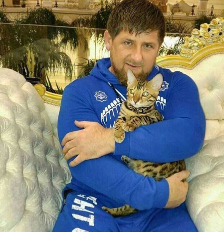 Рамзан Кадыров потерял своего кота