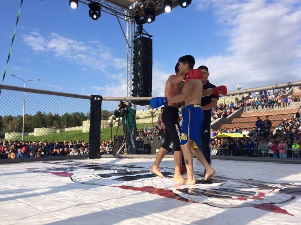 В Павлодаре проходит открытый турнир по смешанным единоборствам [ФОТО]