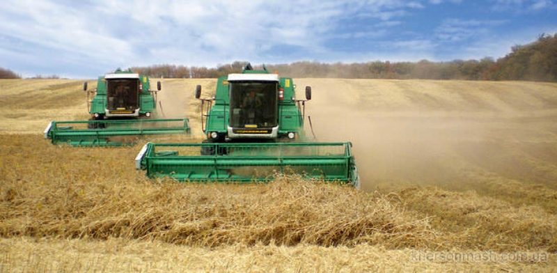 Объем собранного аграриями зерна в ЗКО достиг 232 000 тонн