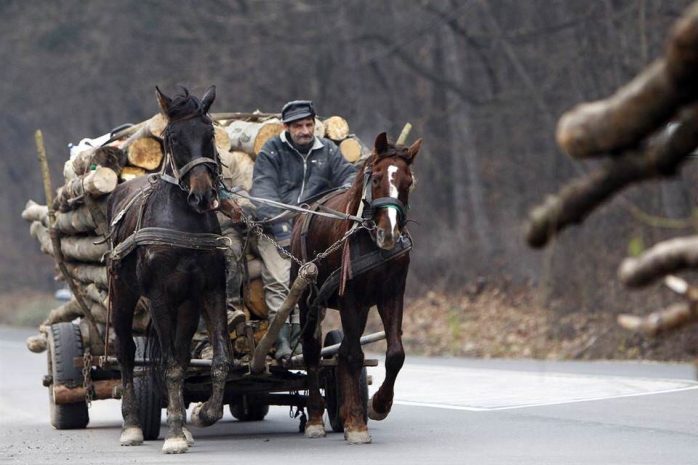 В Костанайской области экс-сотрудника Казпочты осудили за дрова