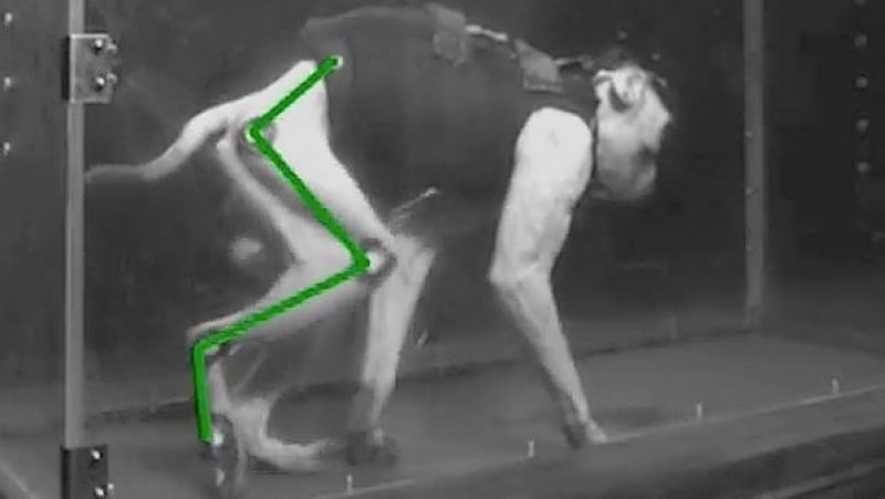 Wi-Fi исцелил паралич