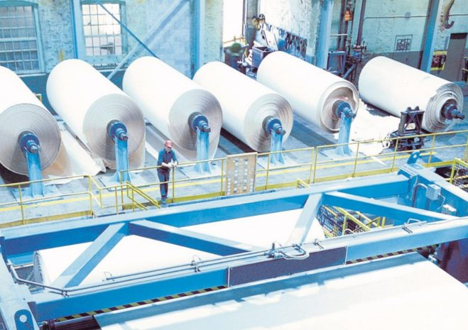 Производство бумаги из технической конопли могут открыть в СКО