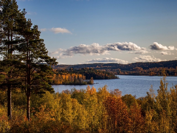 Дождь и снег прогнозируют синоптики жителям Восточного Казахстана