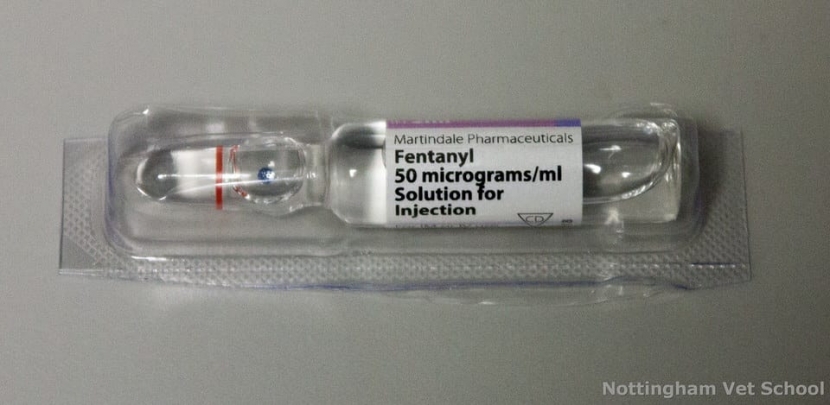 Анальгетик унес жизни 14 человек в Калифорнии