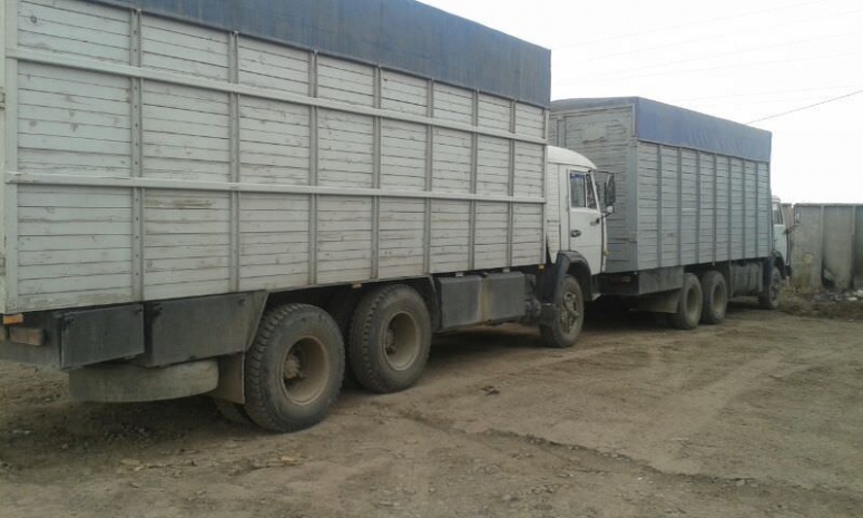 Пограничники задержали 14 КамАЗов на границе с Кыргызстаном