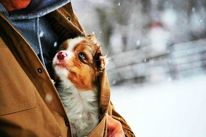 День спонтанной доброты и открытия Эрмитажа