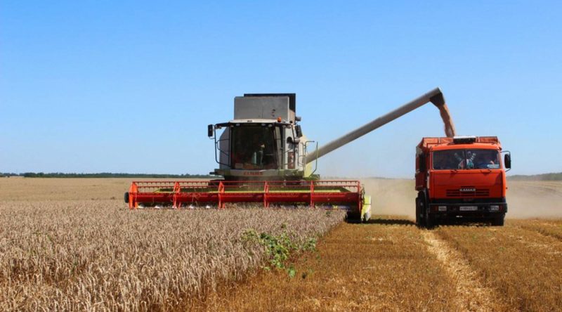 Сельхозуборка подходит к концу в Казахстане