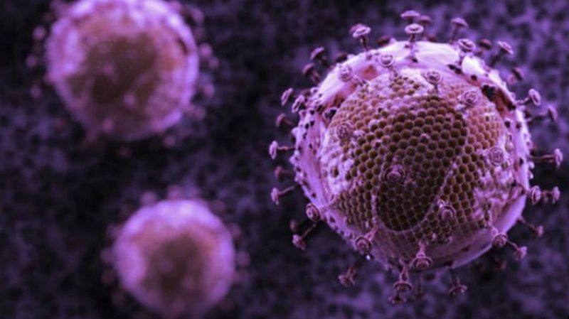 Обнаружены следы древней опасной инфекции