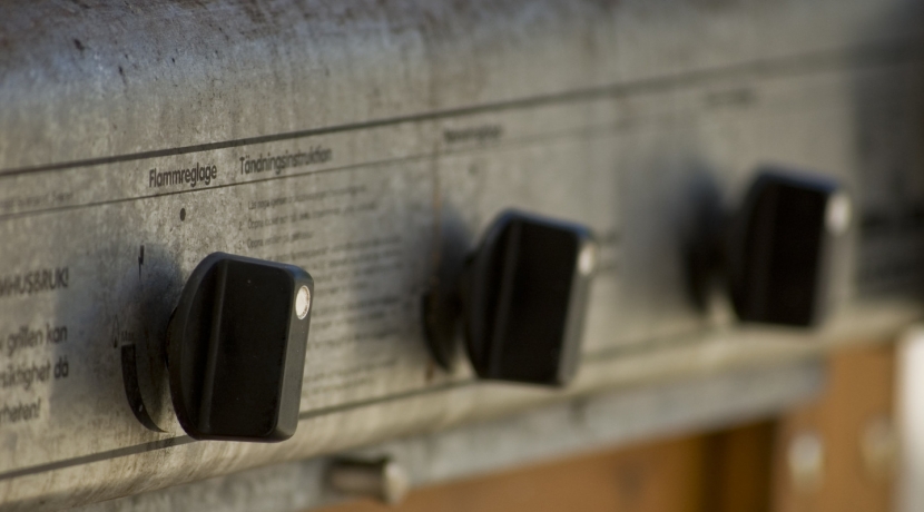 В Бельгии мать сделала барбекю из своей двухлетней дочери