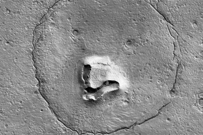 Изображение морды медведя обнаружили на Марсе