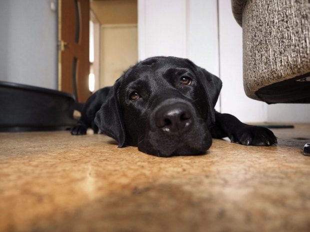 Olympus OM-D E-M1 способна заменить «зеркалки»Эксклюзив