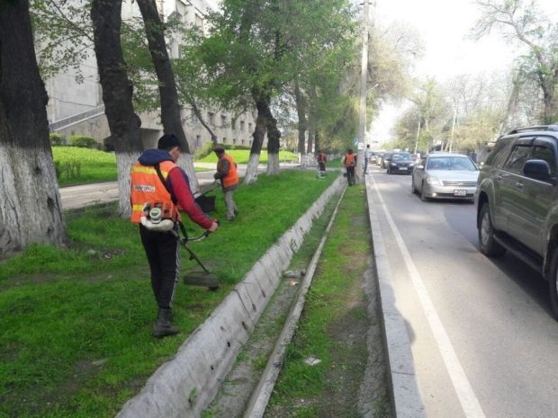 Учебные гранаты переполошили полицию Шымкента