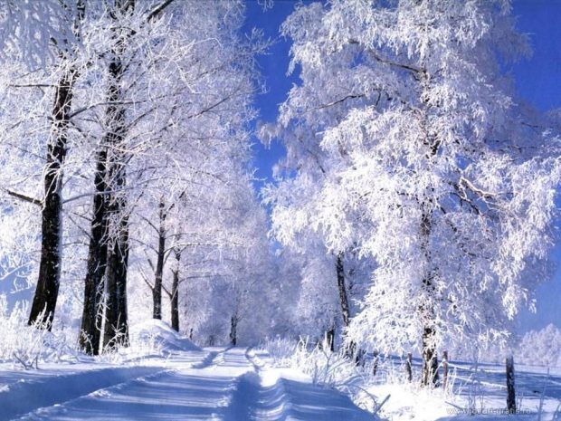 Морозы продержатся в Казахстане до середины февраляЭксклюзив