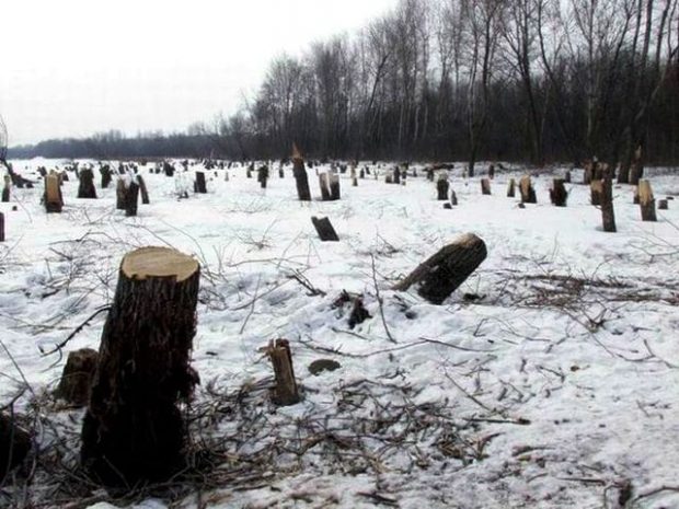 На курорте Бурабай выявлены нарушения в охране окружающей среды